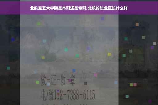 北航空艺术学院是本科还是专科,北航的毕业证长什么样