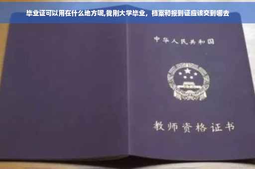 毕业证可以用在什么地方呢,我刚大学毕业，档案和报到证应该交到哪去