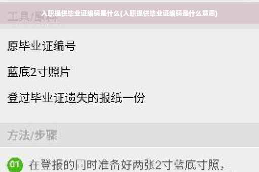 入职提供毕业证编码是什么(入职提供毕业证编码是什么意思)