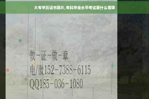 大专学历证书图片,专科学业水平考试要什么等级