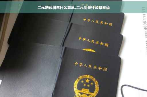 二元制预科生什么意思,二元制是什么毕业证
