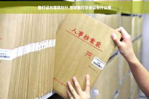散打证书等级划分,初级散打毕业证有什么用