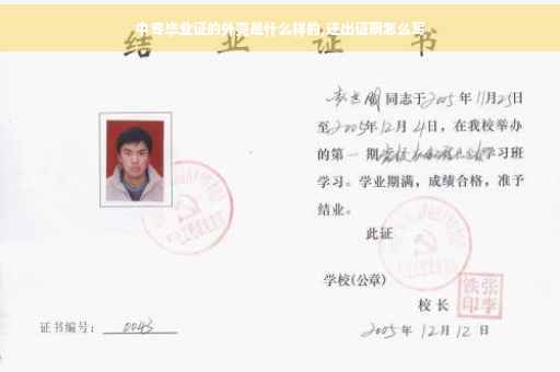 中专毕业证的外壳是什么样的,迁出证明怎么写