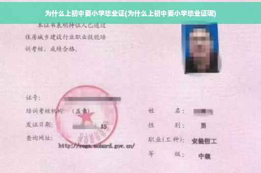 为什么上初中要小学毕业证(为什么上初中要小学毕业证呢)