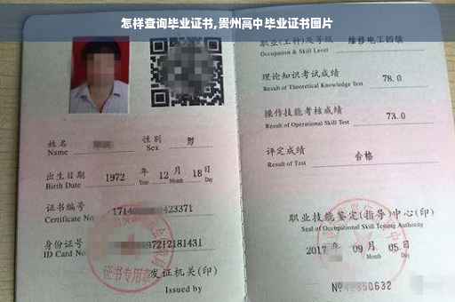 怎样查询毕业证书,贵州高中毕业证书图片