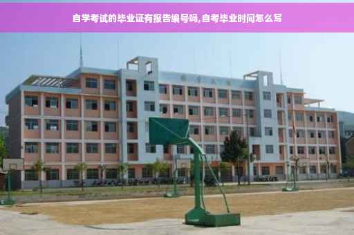 自学考试的毕业证有报告编号吗,自考毕业时间怎么写