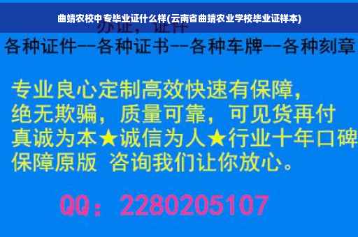 曲靖农校中专毕业证什么样(云南省曲靖农业学校毕业证样本)