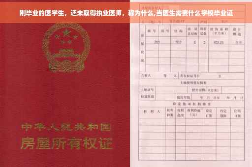 刚毕业的医学生，还未取得执业医师，称为什么,当医生需要什么学校毕业证