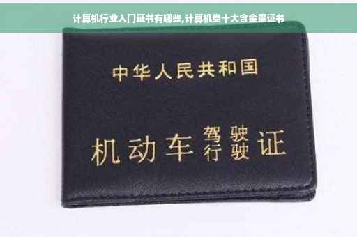 计算机行业入门证书有哪些,计算机类十大含金量证书