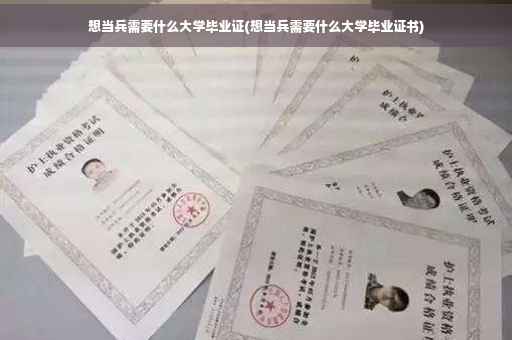 想当兵需要什么大学毕业证(想当兵需要什么大学毕业证书)