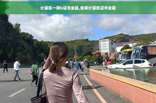 计算机一级b证书全称,省级计算机证书全称