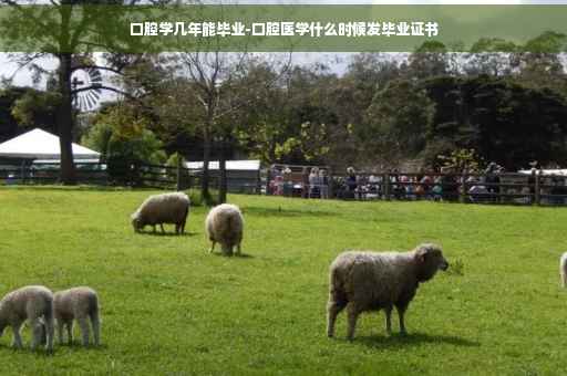 口腔学几年能毕业-口腔医学什么时候发毕业证书