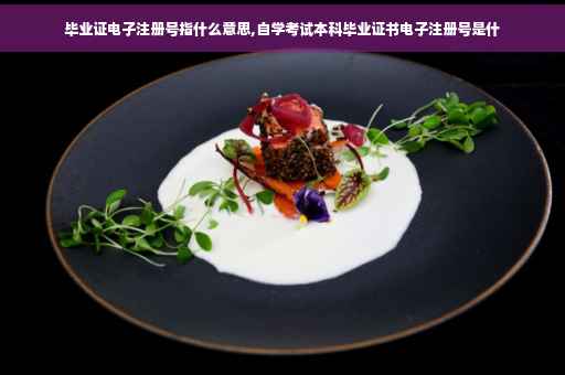 毕业证电子注册号指什么意思,自学考试本科毕业证书电子注册号是什