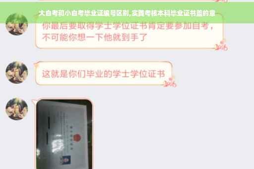 大自考和小自考毕业证编号区别,实践考核本科毕业证书盖的章