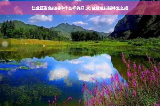 毕业证彩色扫描件什么样的好,求:成绩单扫描件怎么搞