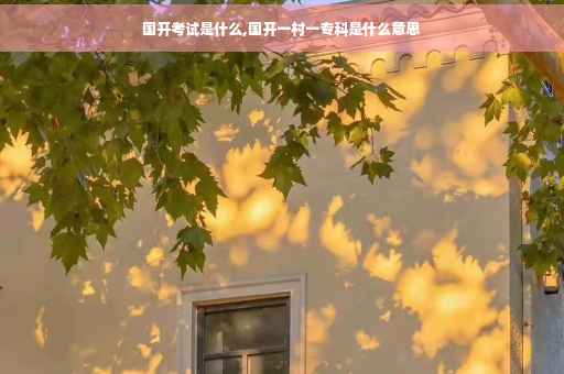 国开考试是什么,国开一村一专科是什么意思