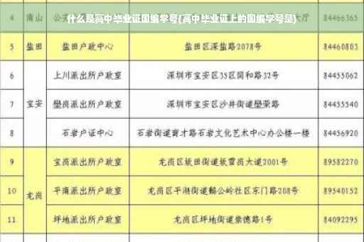 什么是高中毕业证国编学号(高中毕业证上的国编学号是)
