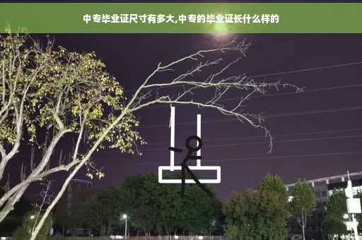 中专毕业证尺寸有多大,中专的毕业证长什么样的