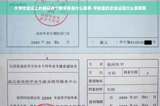 大学毕业证上的编码各个数字各是什么意思-学校里的毕业证是什么意思啊