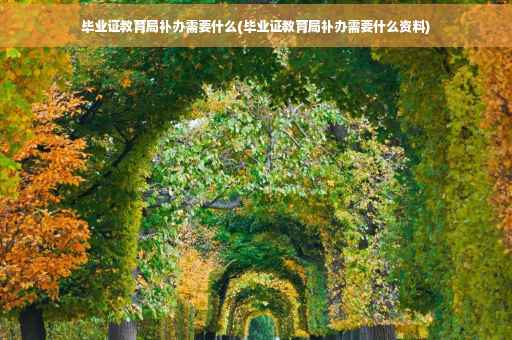 毕业证教育局补办需要什么(毕业证教育局补办需要什么资料)