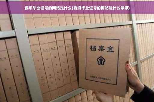 要填毕业证号的网站是什么(要填毕业证号的网站是什么意思)