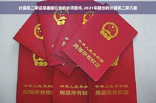 计算机二级证是哪些行业的必须条件,2021年新出的计算机二级几套