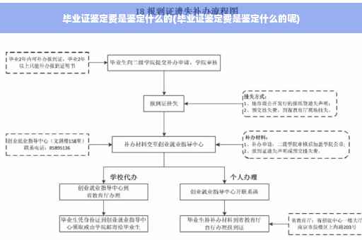毕业证鉴定费是鉴定什么的(毕业证鉴定费是鉴定什么的呢)