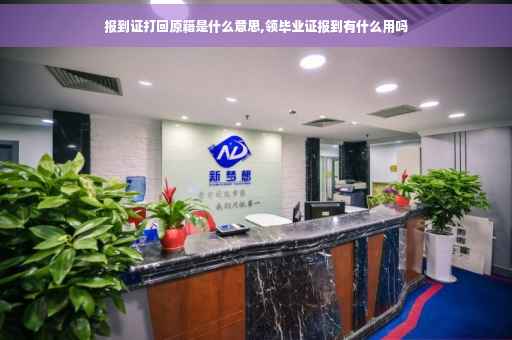 报到证打回原籍是什么意思,领毕业证报到有什么用吗