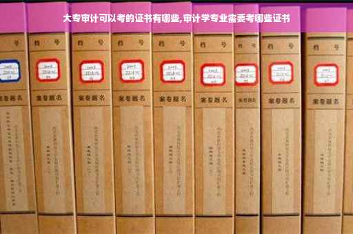 大专审计可以考的证书有哪些,审计学专业需要考哪些证书