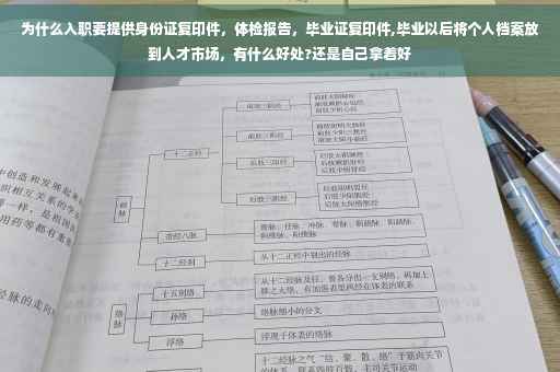 为什么入职要提供身份证复印件，体检报告，毕业证复印件,毕业以后将个人档案放到人才市场，有什么好处?还是自己拿着好