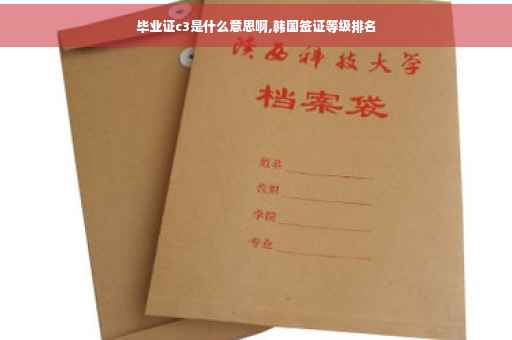 毕业证c3是什么意思啊,韩国签证等级排名
