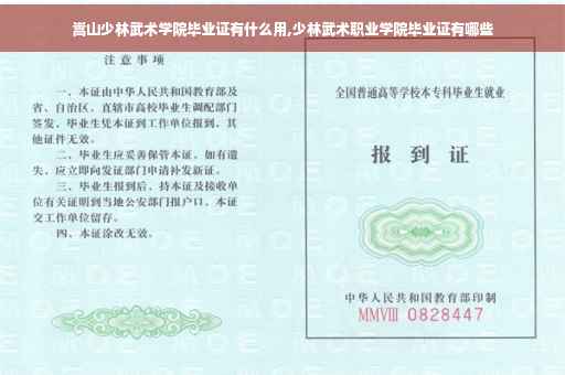 嵩山少林武术学院毕业证有什么用,少林武术职业学院毕业证有哪些