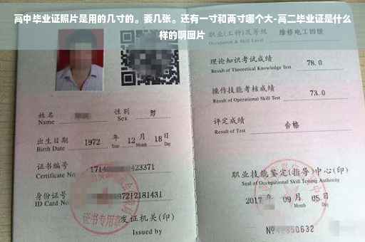 高中毕业证照片是用的几寸的。要几张。还有一寸和两寸哪个大-高二毕业证是什么样的啊图片