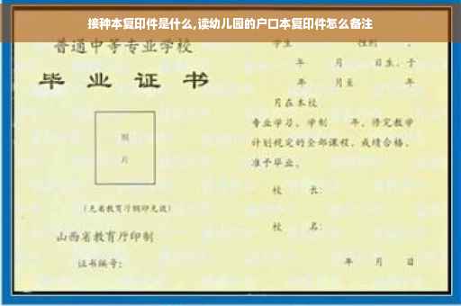 接种本复印件是什么,读幼儿园的户口本复印件怎么备注