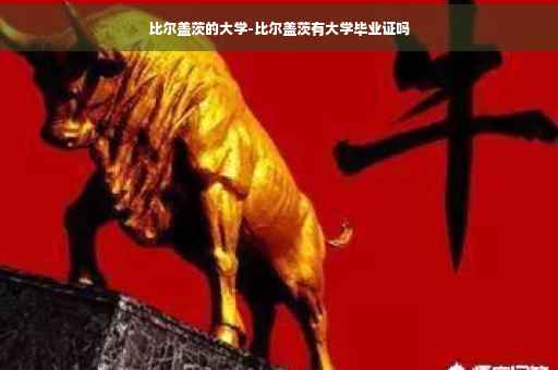 比尔盖茨的大学-比尔盖茨有大学毕业证吗