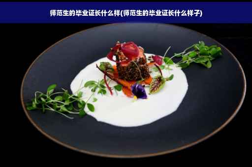 师范生的毕业证长什么样(师范生的毕业证长什么样子)