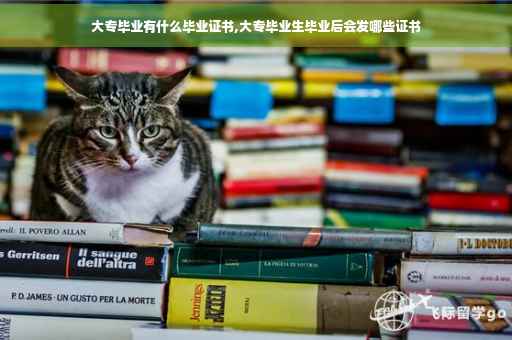 大专毕业有什么毕业证书,大专毕业生毕业后会发哪些证书