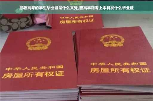 职教高考的学生毕业证是什么文凭,职高学籍考上本科发什么毕业证