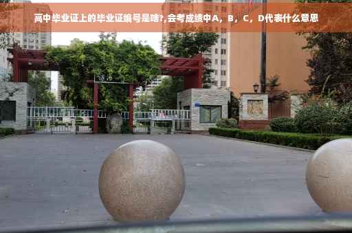 高中毕业证上的毕业证编号是啥?,会考成绩中A，B，C，D代表什么意思