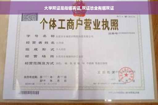 大学双证是指哪两证,双证毕业有哪双证