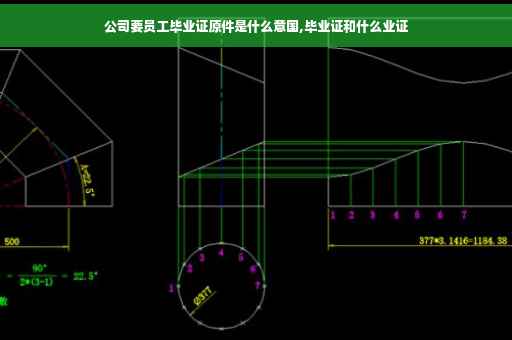 公司要员工毕业证原件是什么意国,毕业证和什么业证