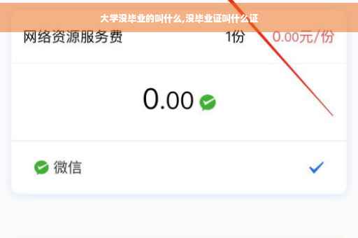 大学没毕业的叫什么,没毕业证叫什么证