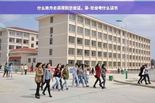 什么地方必须用到毕业证。急-毕业考什么证书