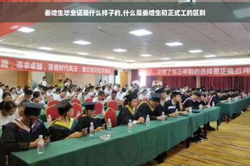 委培生毕业证是什么样子的,什么是委培生和正式工的区别