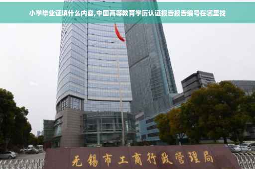 小学毕业证填什么内容,中国高等教育学历认证报告报告编号在哪里找