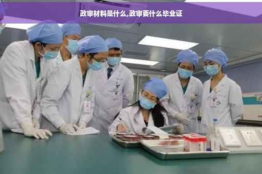 政审材料是什么,政审要什么毕业证