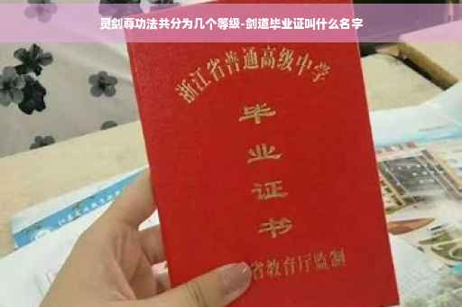 灵剑尊功法共分为几个等级-剑道毕业证叫什么名字