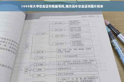1999年大学毕业证书有编号吗,南方高中毕业证书图片样本 1999年大学毕业证书有编号吗,南方高中毕业证书图片样本