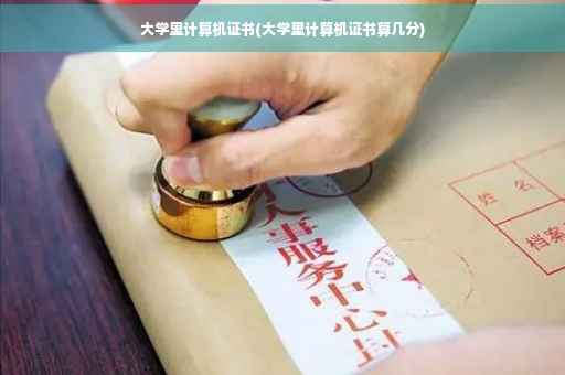大学里计算机证书(大学里计算机证书算几分)