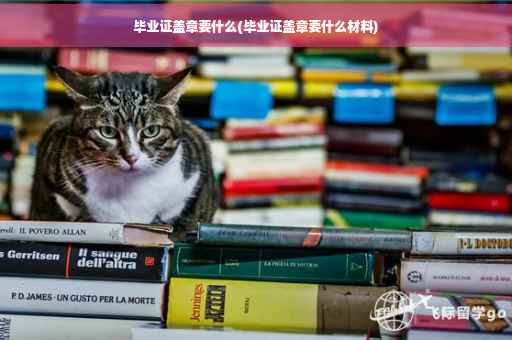 毕业证盖章要什么(毕业证盖章要什么材料)